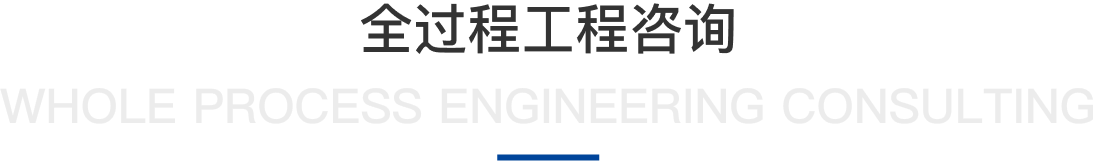 全過(guò)程工程咨詢
